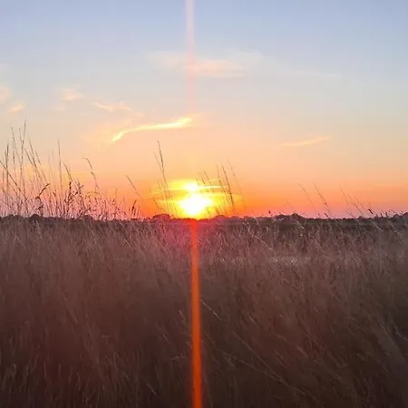 Kemp Wohnmobilstellplatz Nordseeliebe Direkt Am Deich - *